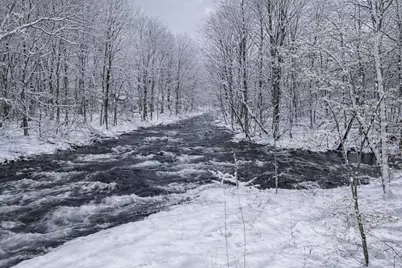 16467 Prairie Brook Street, Schoolcraft, MI 49087 - Photo 26