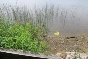 890 White Lake Rd, Pleasant Lake, MI 49272 - Photo 68