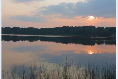 890 White Lake Road, Pleasant Lake, MI 49272 - Photo 2