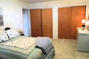 890 White Lake Rd, Pleasant Lake, MI 49272 - Photo 24