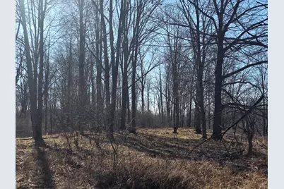 2 Mile Road, Evart, MI 49631 - Photo 16