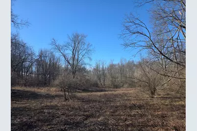 2 Mile Road, Evart, MI 49631 - Photo 20