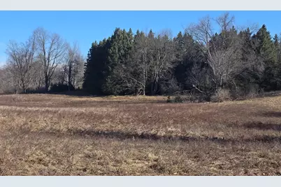 2 Mile Road, Evart, MI 49631 - Photo 14