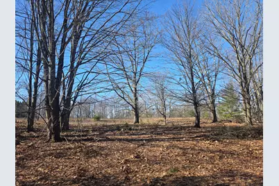 2 Mile Road, Evart, MI 49631 - Photo 2