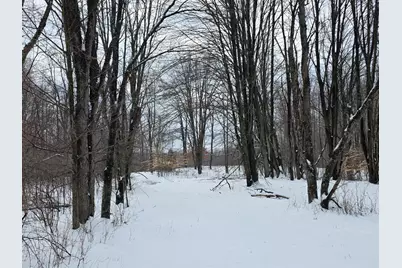 2 Mile Road, Evart, MI 49631 - Photo 18