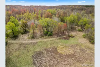 2 Mile Road, Evart, MI 49631 - Photo 6