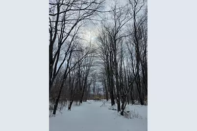 2 Mile Road, Evart, MI 49631 - Photo 26