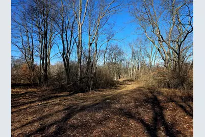 2 Mile Road, Evart, MI 49631 - Photo 4