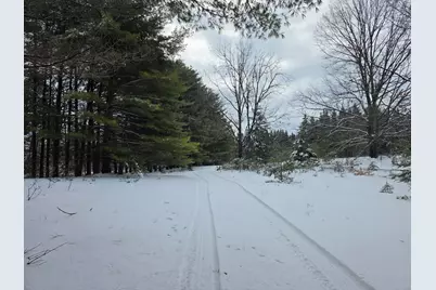 2 Mile Road, Evart, MI 49631 - Photo 16