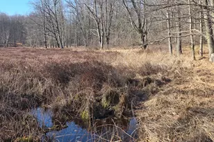 2 Mile Rd, Evart, MI 49631 - Photo 1