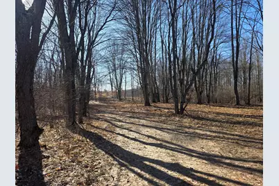 2 Mile Road, Evart, MI 49631 - Photo 8