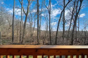 1036 Preservation Dr, Tecumseh, MI 49286 - Photo 38