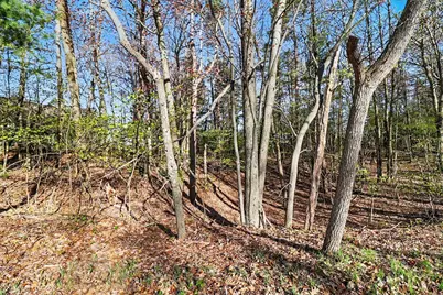 Lot 11 Silver Ridge Road, Mears, MI 49436 - Photo 1