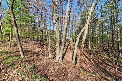 Lot 11 Silver Ridge Road, Mears, MI 49436 - Photo 4