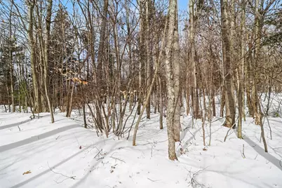 Lot 11 Silver Ridge Road, Mears, MI 49436 - Photo 18