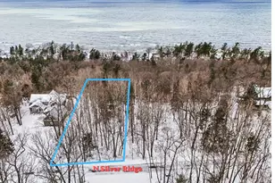 Lot 11 Silver Ridge Rd, Mears, MI 49436 - Photo 1