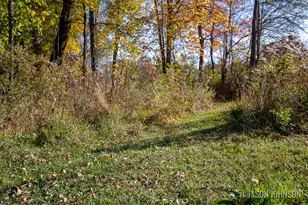 16300 McClure Ave NE, Sand Lake, MI 49343 - Photo 50