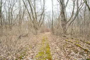 5856 kiddville Rd, Belding, MI 48809 - Photo 48