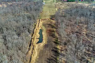 4511 Furman Hwy, Clayton, MI 49235 - Photo 66