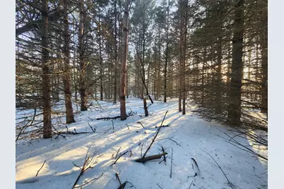 2600 S Scottville Road, Scottville, MI 49454 - Photo 8