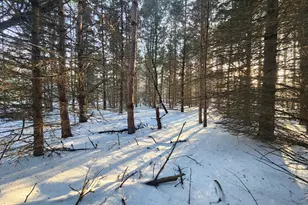 2600 S Scottville Rd, Scottville, MI 49454 - Photo 8