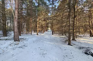 2600 S Scottville Rd, Scottville, MI 49454 - Photo 1