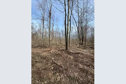 Vl Lake Drive, Allegan, MI 49010 - Photo 2