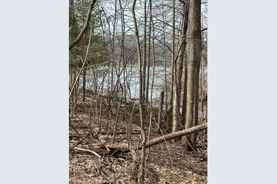 Vl Lake Drive, Allegan, MI 49010 - Photo 6