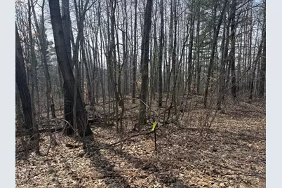 12952 Bowen Lake Drive NE, Gowen, MI 49326 - Photo 2