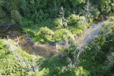 12952 Bowen Lake Drive NE, Gowen, MI 49326 - Photo 4