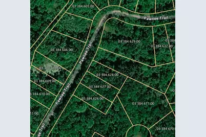 Vl Pawnee Trail, Evart, MI 49631 - Photo 2