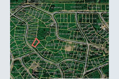 Pawnee Trail, Evart, MI 49631 - Photo 2