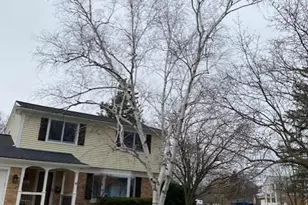 2310 Churchill Dr, Ann Arbor, MI 48103 - Photo 48