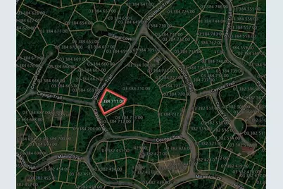 Coyuga/Shoshone Trail, Evart, MI 49631 - Photo 2