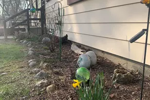 1521 Roosevelt St, Ypsilanti, MI 48197 - Photo 6