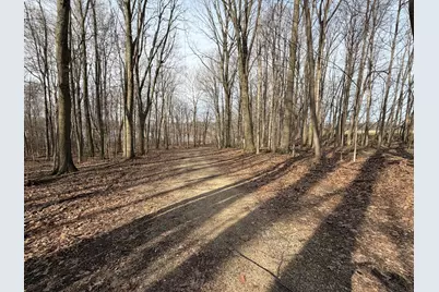 V/L 38th Street, Gobles, MI 49055 - Photo 12