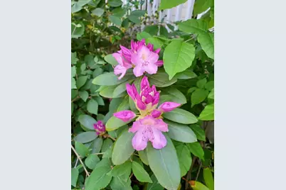 100 Westwood Street, Hillsdale, MI 49242 - Photo 16