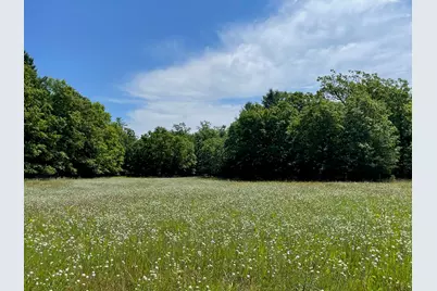 10652 N River Road #E, Irons, MI 49644 - Photo 1