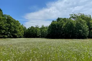 10652 N River Rd, Irons, MI 49644 - Photo 1