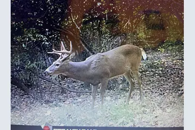 000 Vl N Cottonwood Avenue, Big Rapids, MI 49307 - Photo 4