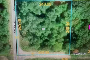 12784 Elm Ave, Sand Lake, MI 49343 - Photo 1