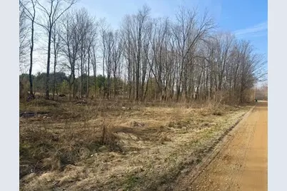 0 21st Street, Hopkins, MI 49328 - Photo 2