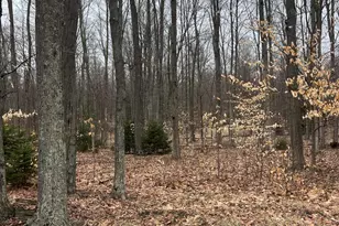 N Dennis Rd, Ludington, MI 49431 - Photo 1