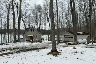 10131 Alpine Dr, Reed City, MI 49677 - Photo 1