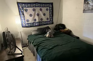 10131 Alpine Dr, Reed City, MI 49677 - Photo 38