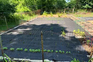 4080 Joanne Ct, Ann Arbor, MI 48103 - Photo 84