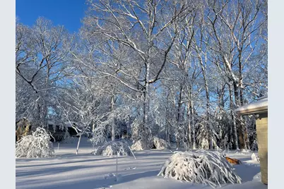 4080 Joanne Court, Ann Arbor, MI 48103 - Photo 100