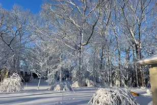 4080 Joanne Ct, Ann Arbor, MI 48103 - Photo 100