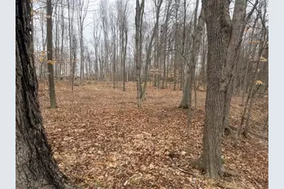 2119 W 116th Street, Grant, MI 49327 - Photo 1