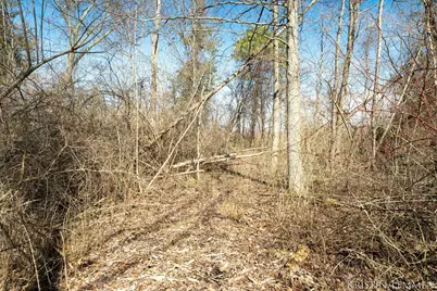 V/L 121st Avenue, Fennville, MI 49408 - Photo 24